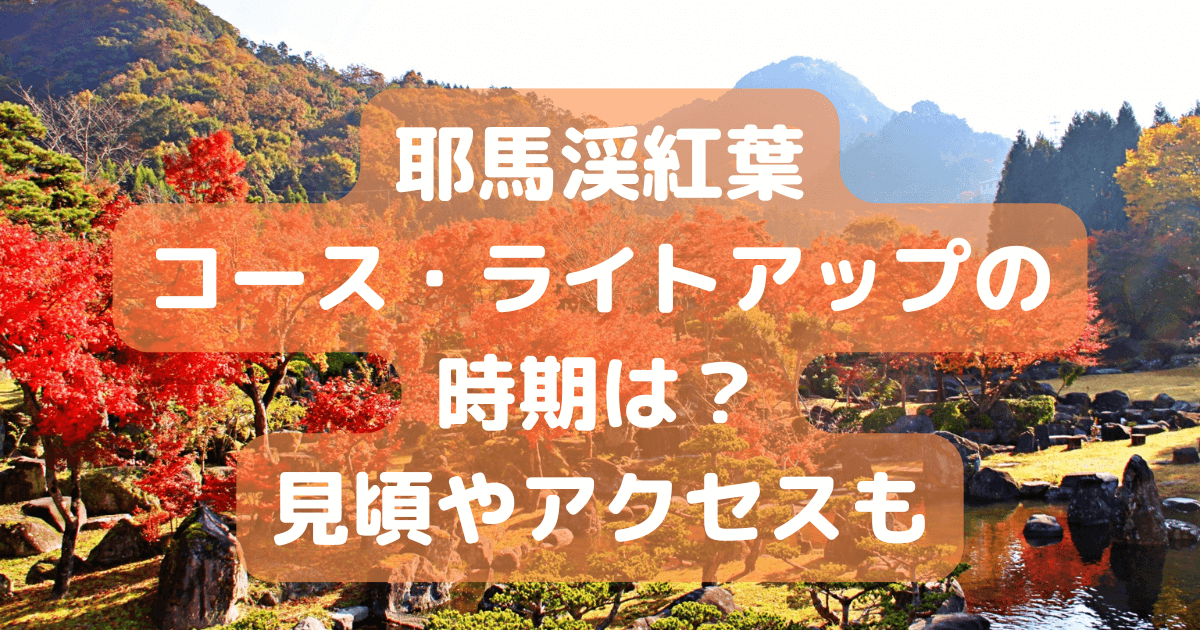 耶馬渓　紅葉　コース　ライトアップ　時期　見頃　一目八景　アクセス