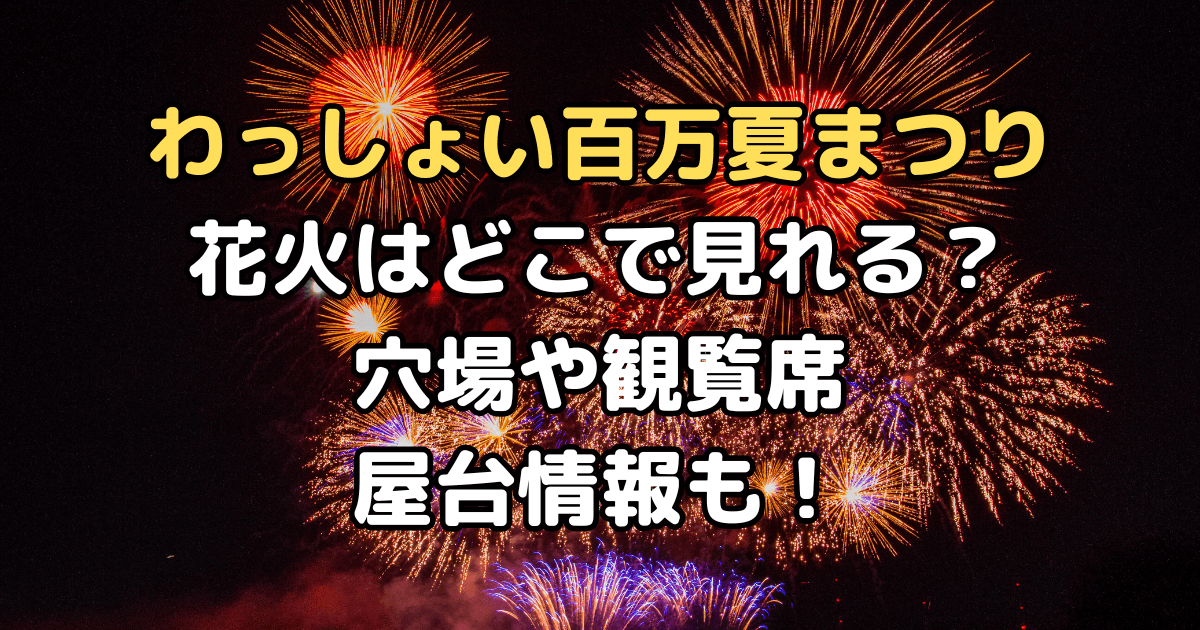 わっしょい百万夏まつり　花火　どこで見れる　穴場　観覧席　屋台　交通規制